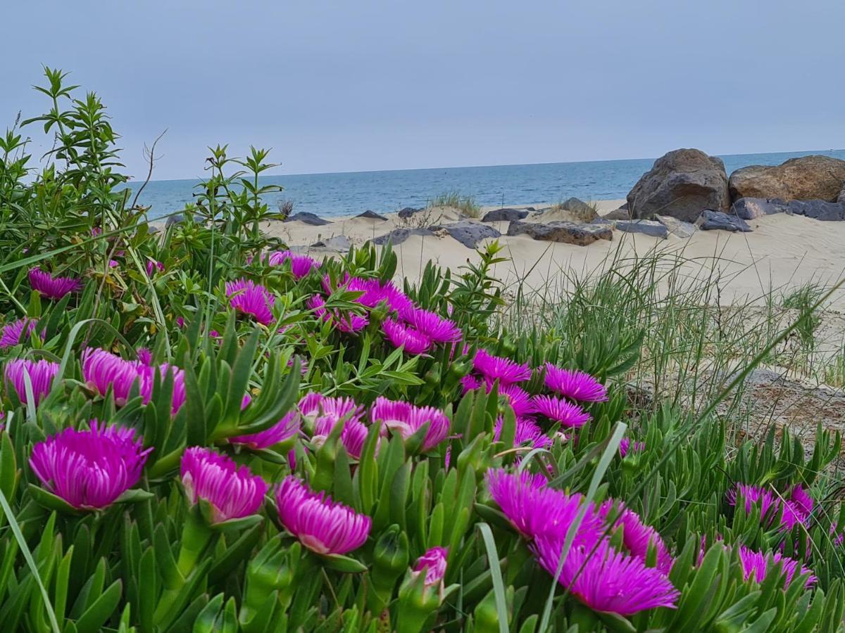Camping Les Sables D'Or Cap D'Agde Le Grau-d'Agde Ngoại thất bức ảnh